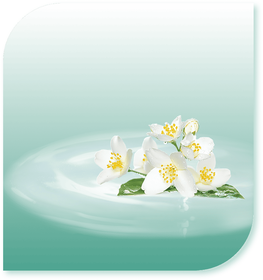 ジャスミンのフレーバー