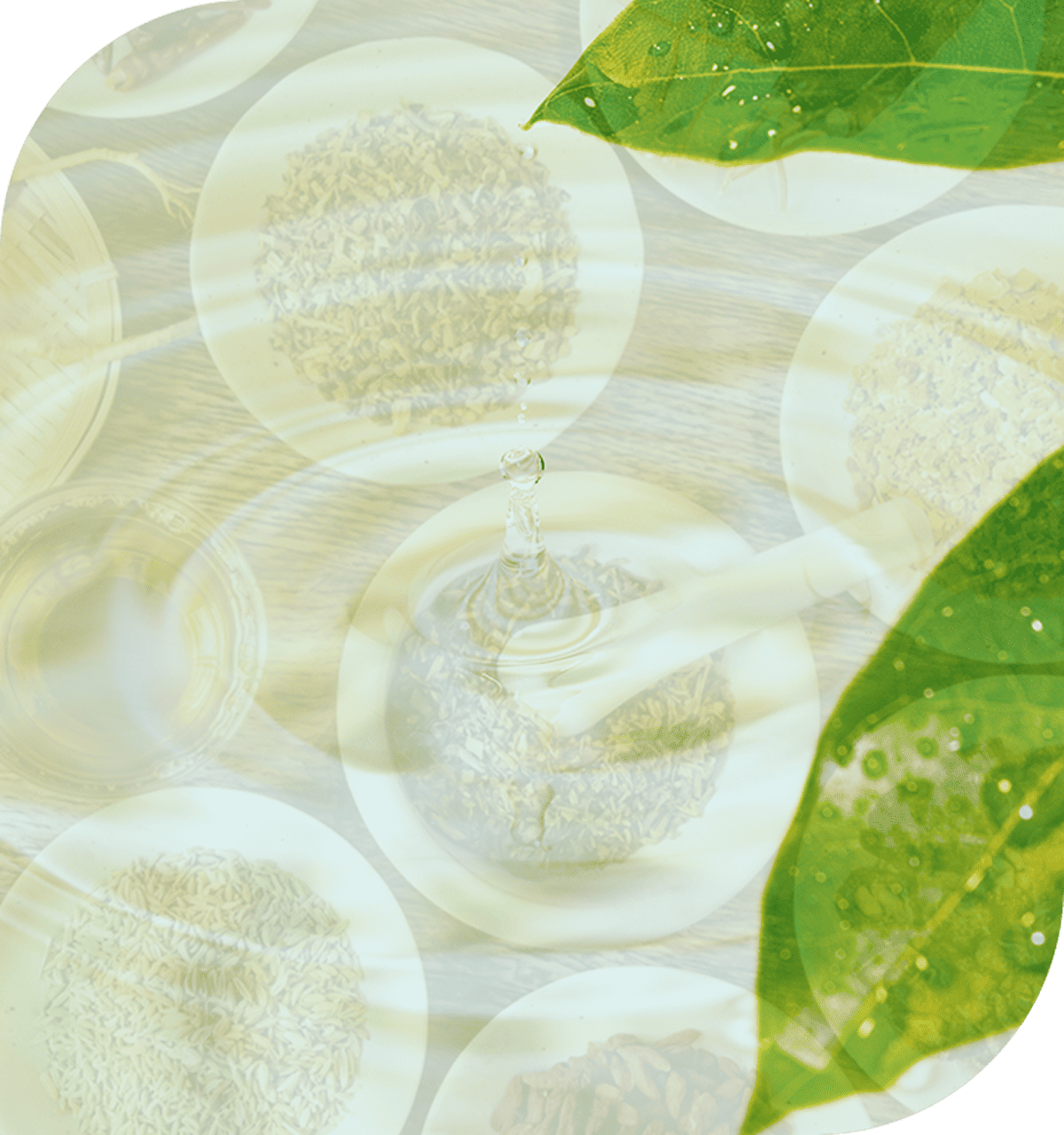 配合成分のイメージ