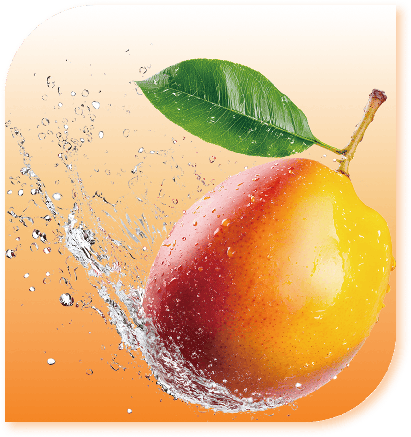 マンゴーのフレーバー