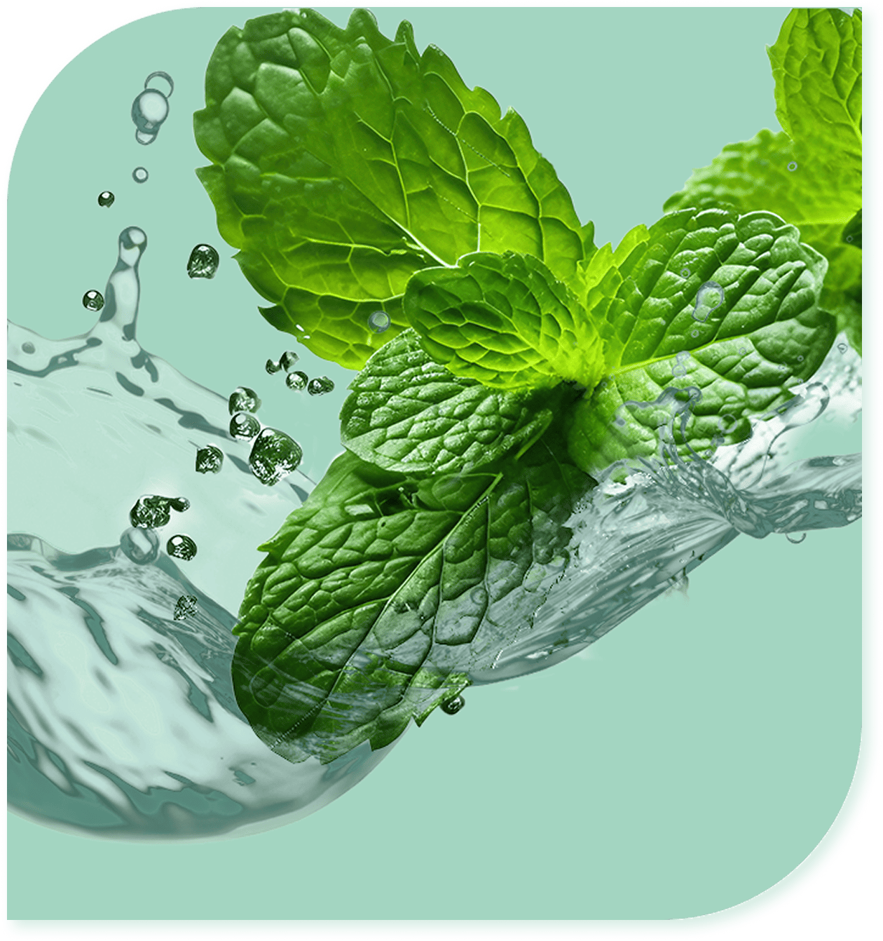 ミントのフレーバー